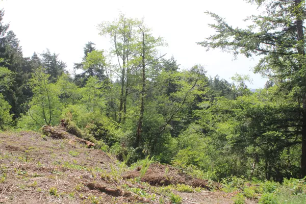 Waldport, OR 97394,T/L1001 Bayview Ct.