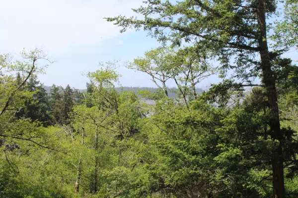 Waldport, OR 97394,T/L1001 Bayview Ct.