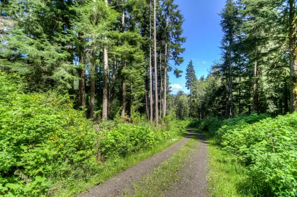 Waldport, OR 97394,00 SE Merten DR