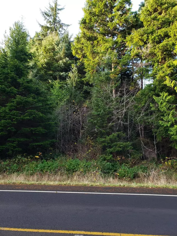 T/L501 SW Wakonda Beach RD, Waldport, OR 97394