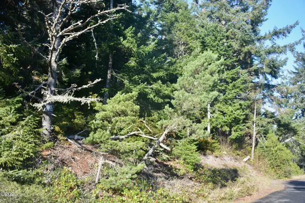 2506 NW Mokmak Lake DR, Waldport, OR 97394