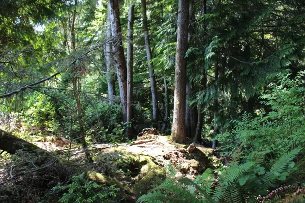 Waldport, OR 97394,TL 300 SW Dolores DR