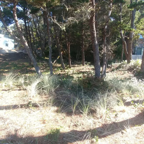 Waldport, OR 97394,1613 NW Bayshore DR