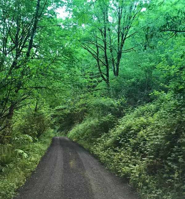 Tidewater, OR 97390,8689 E Alsea HWY