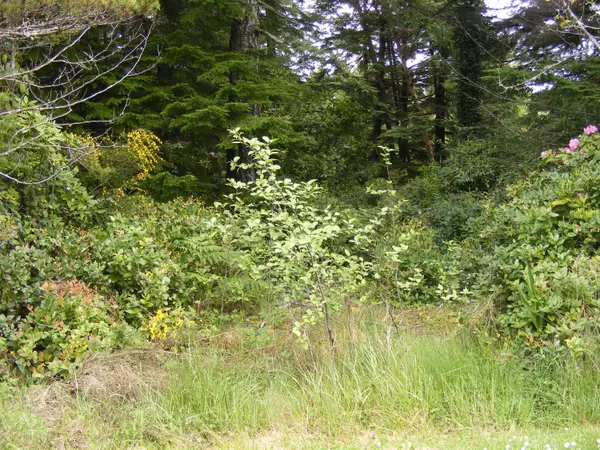 1800 NW Osprey ST, Seal Rock, OR 97376