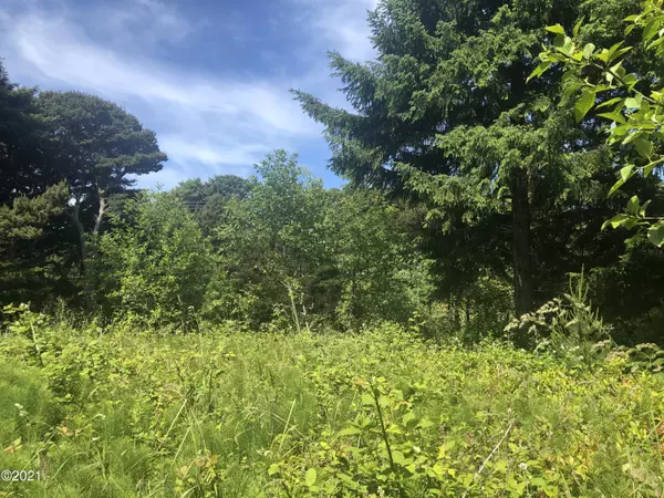 Lot 3100 SW Wakeetum ST, Waldport, OR 97394