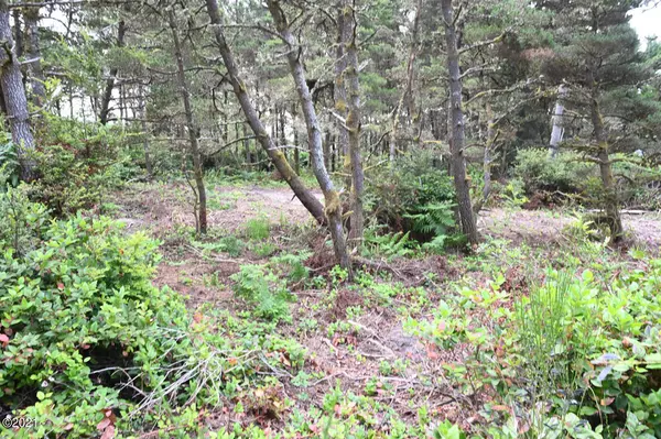 TL2500 US-101, Seal Rock, OR 97376