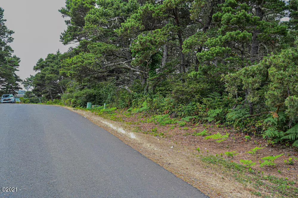 Seal Rock, OR 97376,TL 2700 NW Sunahama PL