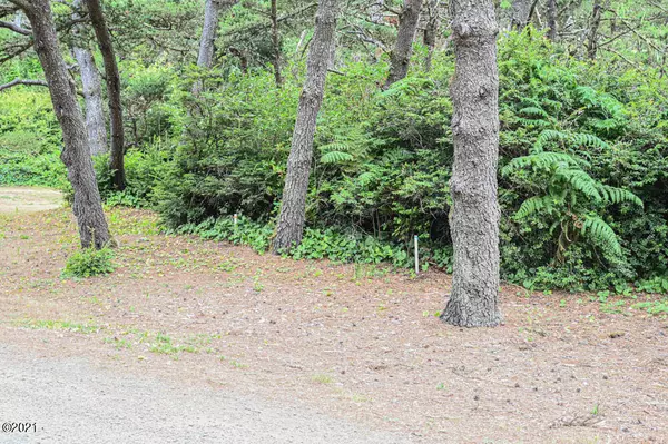 Seal Rock, OR 97376,TL 2700 NW Sunahama PL