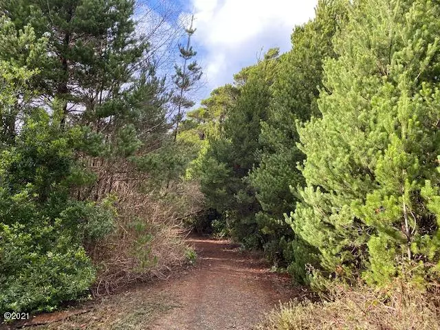 Waldport, OR 97394,TL 3100 SW Sitka Ridge CT