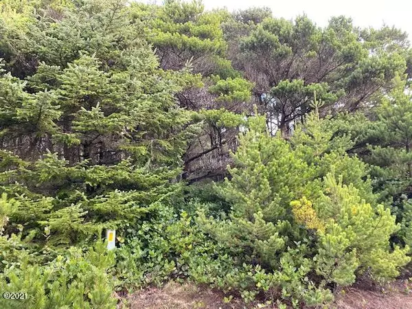 Waldport, OR 97394,TL 3100 SW Sitka Ridge CT