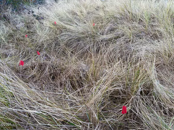 Waldport, OR 97394,1806 NW Parker AVE