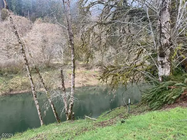 Tidewater, OR 97390,17751 E Reetz DR