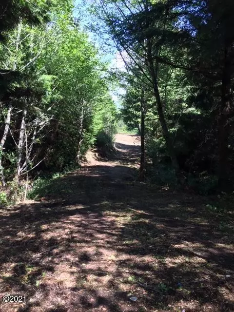 Waldport, OR 97394,TL 3600 SW Sitka Ridge Court