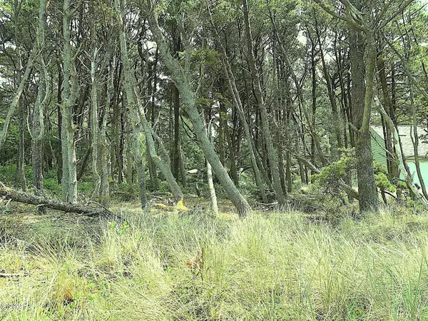 Waldport, OR 97394,3801 NW Hidden Lake DR