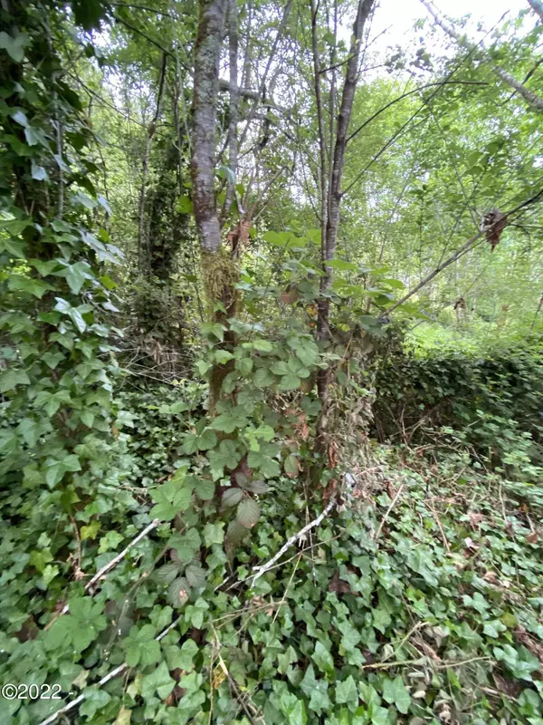 Tidewater, OR 97390,11472 E Alsea HWY