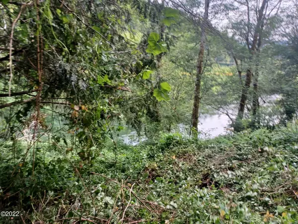 Tidewater, OR 97390,11472 E Alsea HWY