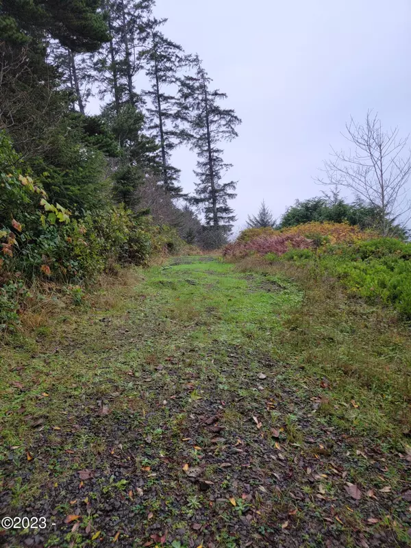 Newport, OR 97365,TL 100000 NW Lots 13-16 off of 55th St