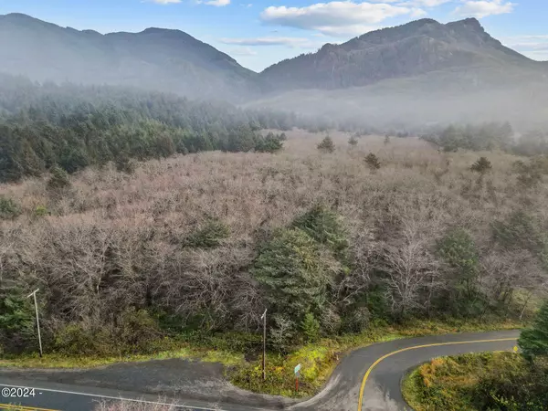 Arch Cape, OR 97102,TL 8500 E Beach RD