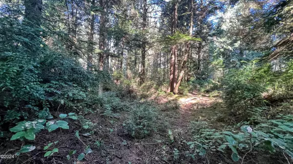 Waldport, OR 97394,306 SW Wakonda Beach RD