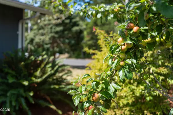 Waldport, OR 97394,125 SE Salmon ST