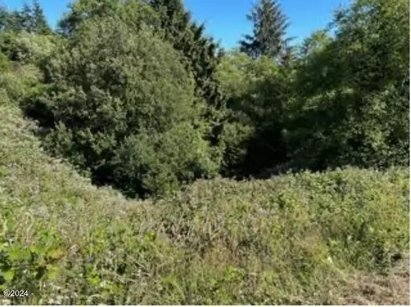 Newport, OR 97365,Lot 100 Scenic