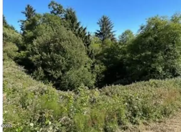 Newport, OR 97365,Lot 100 Scenic