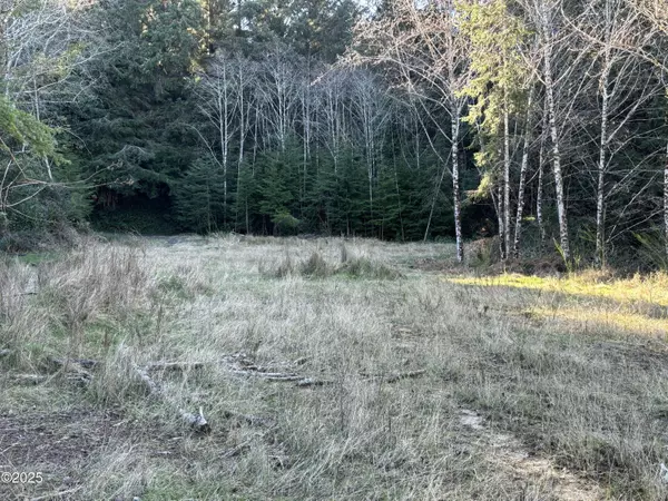 Waldport, OR 97394,2040 SE Lucy LN