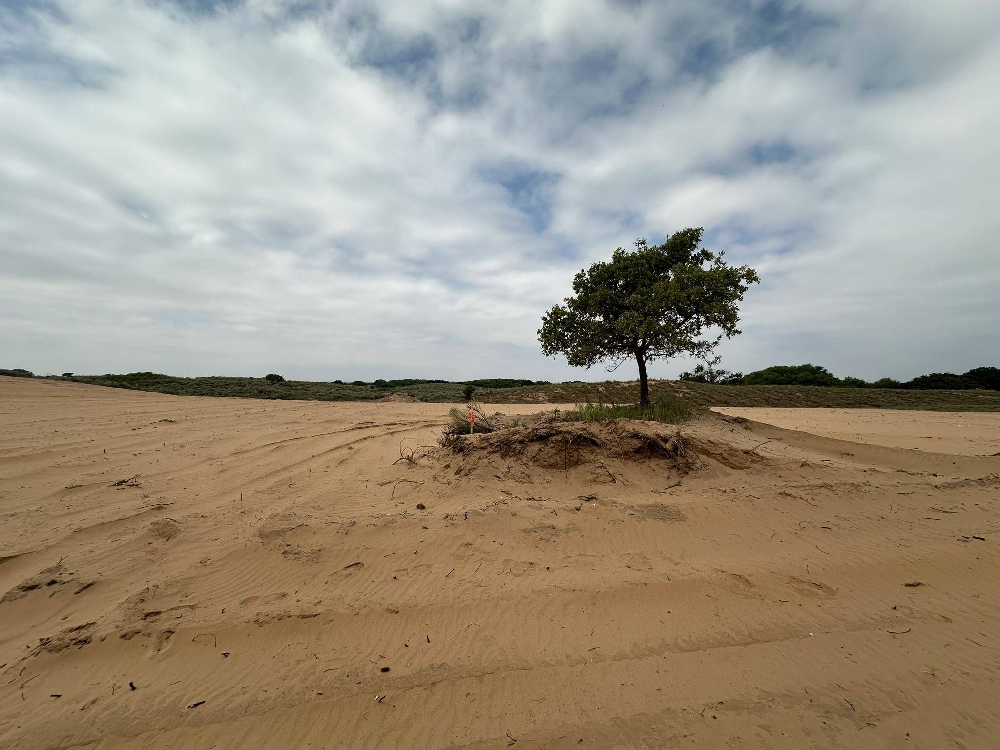 Lot 8 Maverick Rd, Waynoka, OK 73860