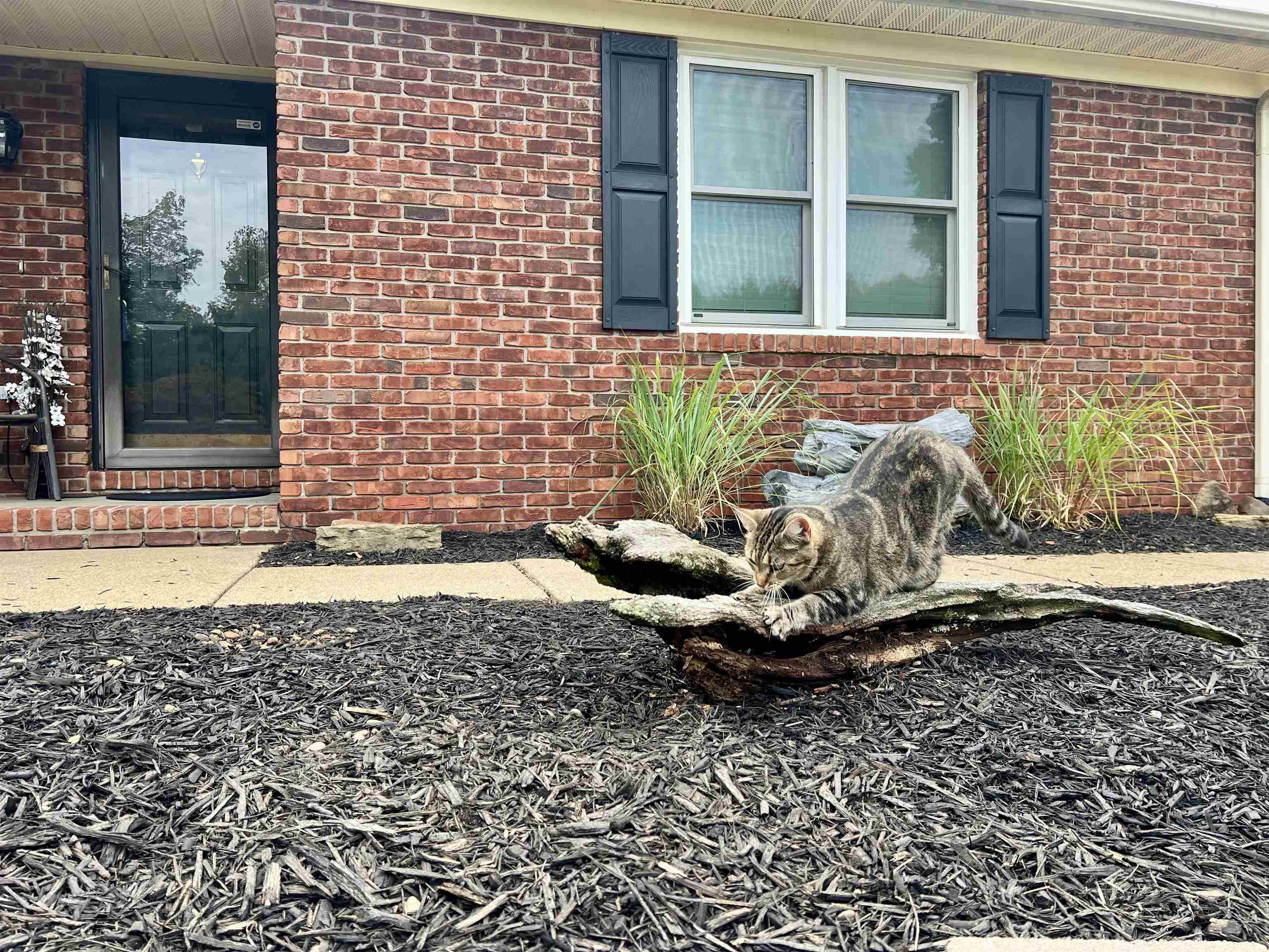 Henderson, KY 42420,3872 Peachtree Dr