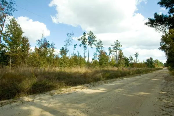 Bartow, GA 30413,Tract 23 Pollett RD