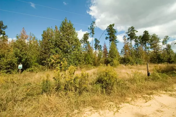 Bartow, GA 30413,Tract 24 Pollett RD