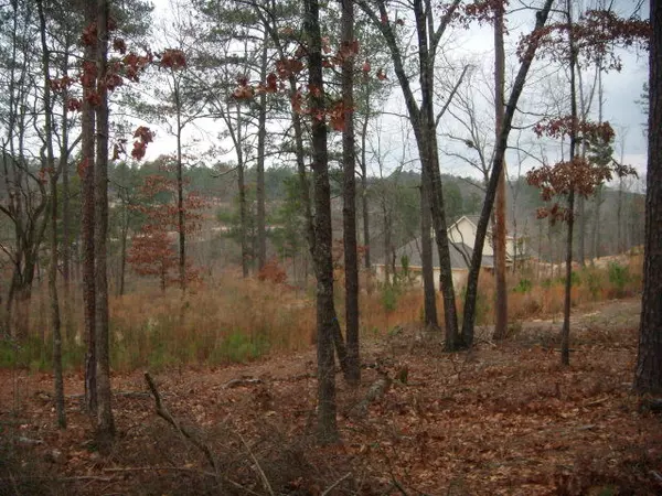 Aiken, SC 29803,171 Lady Banks RD