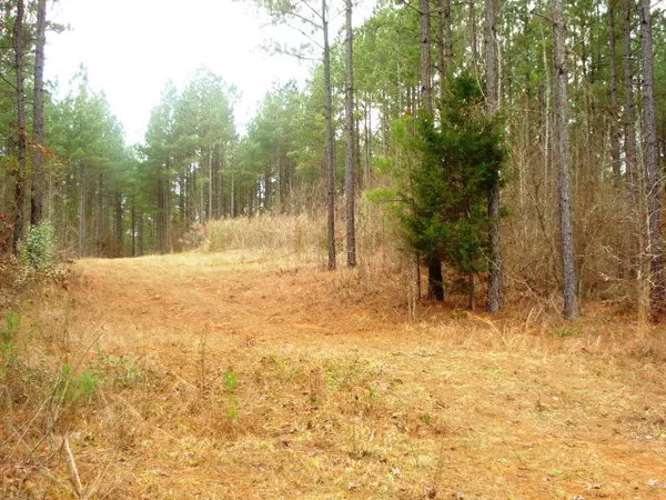 Thomson, GA 30824,0 Rousseau Creek RD