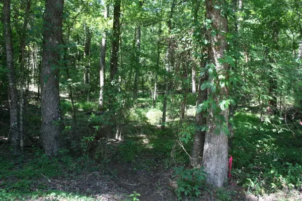 Lincolnton, GA 30817,Lot B-5 Elijah Clark DR