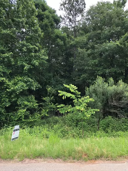 Lot 29 Eagle Pointe, Lincolnton, GA 30817