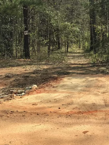 Lot 26 Stapleton Acres DR, Stapleton, GA 30823