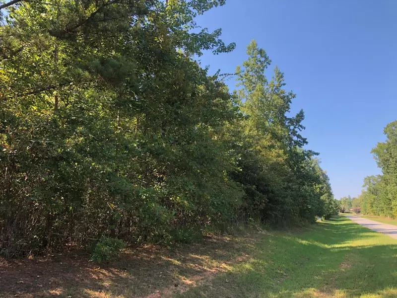 Lot 5 S Point SHRS, Tignall, GA 30668