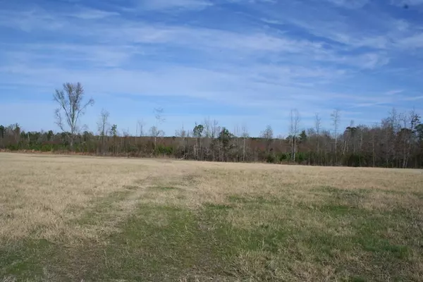 Thomson, GA 30824,Lot 2 Wrightsboro RD