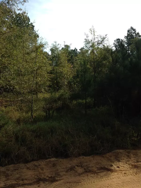 121 E Rachel DR na, Waynesboro, GA 30830