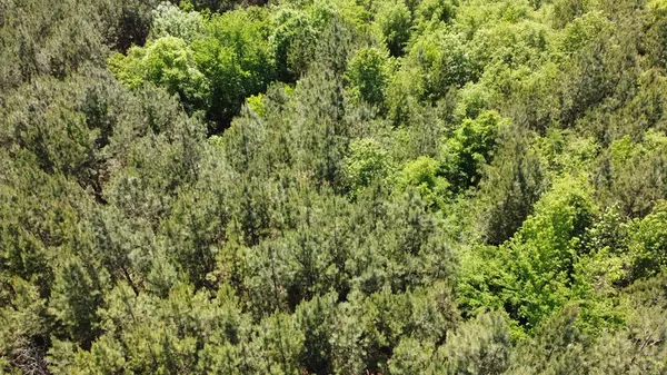 Saluda, SC 29138,00-17 Old Chappell Ferry RD