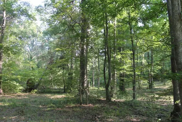 Lot 6 Gregory Lake RD, North Augusta, SC 29860