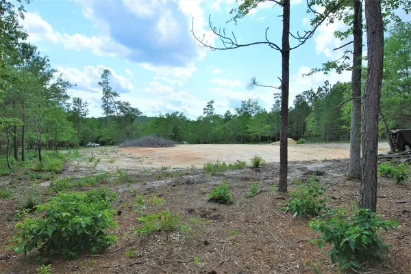 Trenton, SC 29847,6 Sable LN