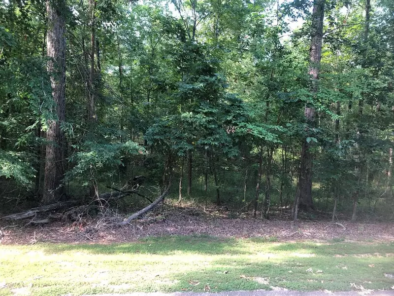 Lot 20 C Plantation PT, Lincolnton, GA 30817