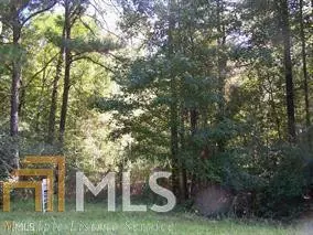 Lot 1 C E Norman RD, Lincolnton, GA 30817