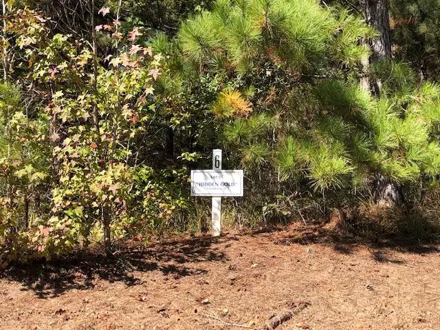 Lot 6 S Pointe DR, Tignall, GA 30668