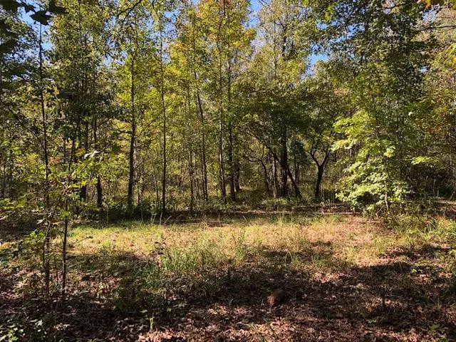 Lot 38 S Pointe DR, Tignall, GA 30668