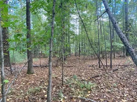 Mccormick, SC 29835,Lot 27 Shenandoah DR