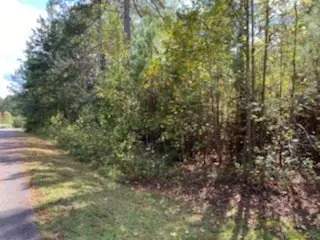 Mccormick, SC 29835,Lot 27 Shenandoah DR