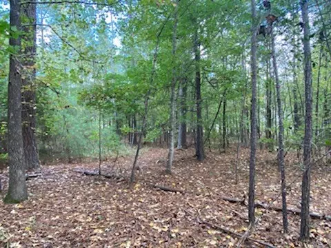 Mccormick, SC 29835,Lot 27 Shenandoah DR